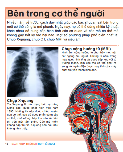 Tri Thức Trong Lòng Bàn Tay - Bách Khoa Thiếu Nhi: Cơ Thể Người