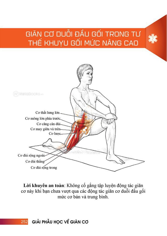 Giải Phẫu Học Về Giãn Cơ -
Giãn Cơ Để Tối Ưu Sức Mạnh Cơ Bắp