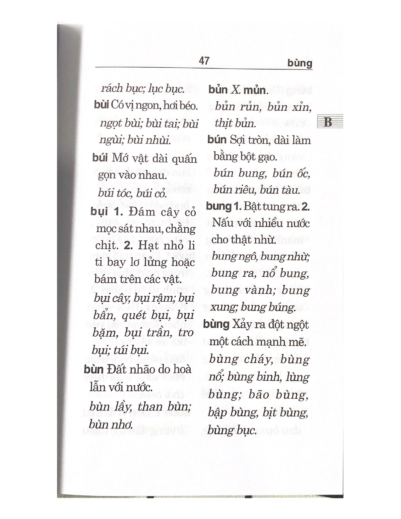 Từ Điển Chính Tả Tiếng Việt (VL)