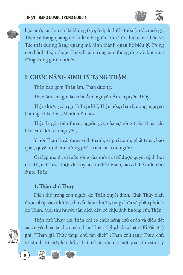 Thận Bàng Quang Trong Đông Y (Bìa mềm)