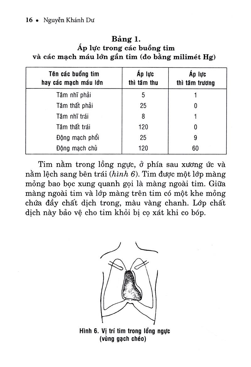 Hiểu Biết Để Phòng Và Trị Bệnh Tim Mạch