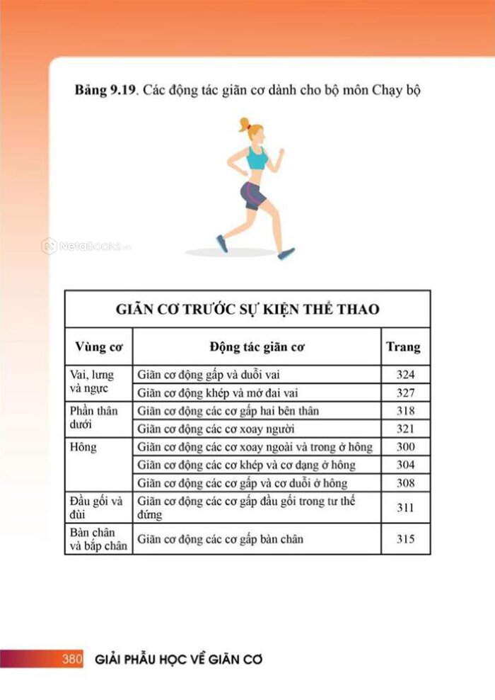 Giải Phẫu Học Về Giãn Cơ -
Giãn Cơ Để Tối Ưu Sức Mạnh Cơ Bắp