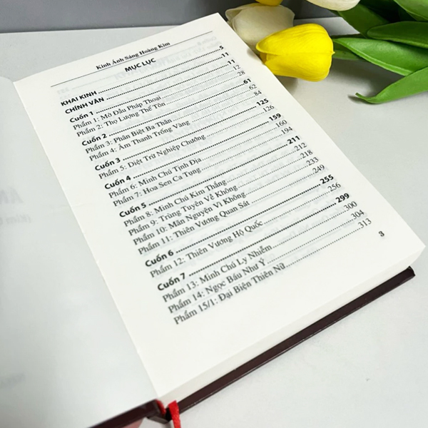 Kinh Ánh Sáng Hoàng Kim - Bìa Cứng