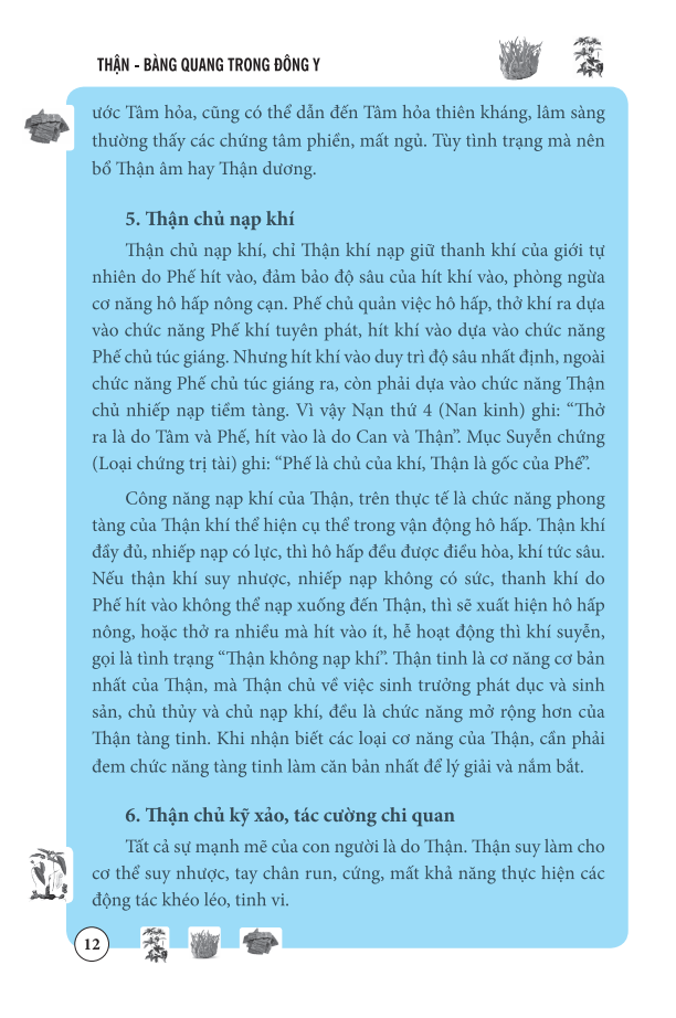 Thận Bàng Quang Trong Đông Y (Bìa mềm)