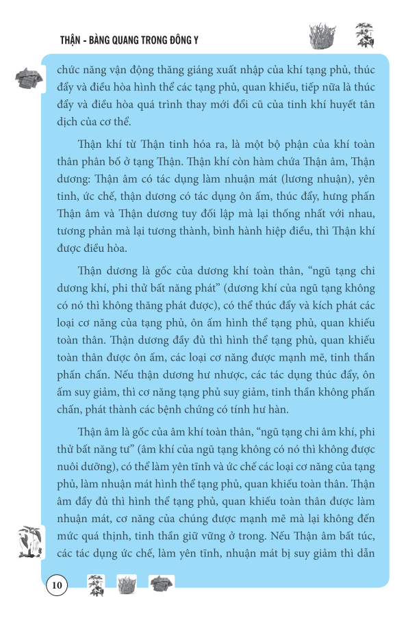 Thận Bàng Quang Trong Đông Y (Bìa mềm)