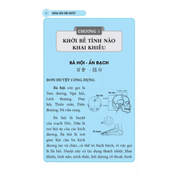 Châm Cứu Đối Huyệt (Lữ Cảnh Sơn)