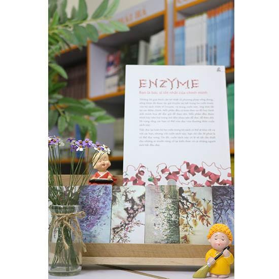 Nhân Tố Enzyme - Minh Họa - Bản Quyền