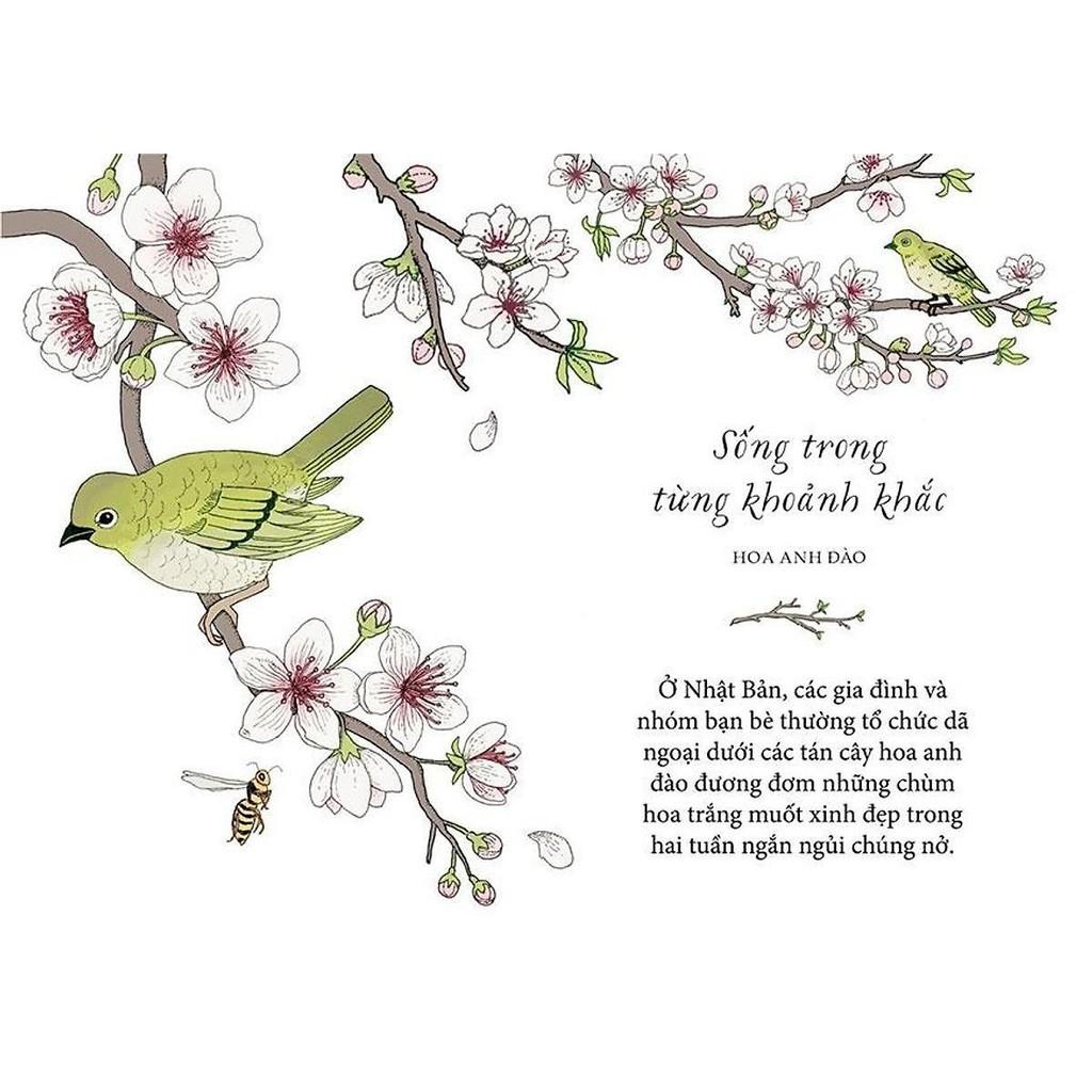 Sách - Sống Như Những Cái Cây - Những Bài Học Nhỏ Để Có Nguồn Hạnh Phúc Bất Tận - NXB Kim Đồng