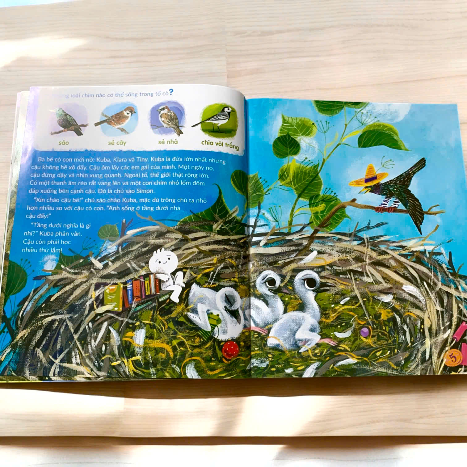 Sách - Bộ Tuli Tuli kể chuyện nhà ai ở đâu - Bộ 4 cuốn - Sách tranh - Tác giả Zofia Stanecka
