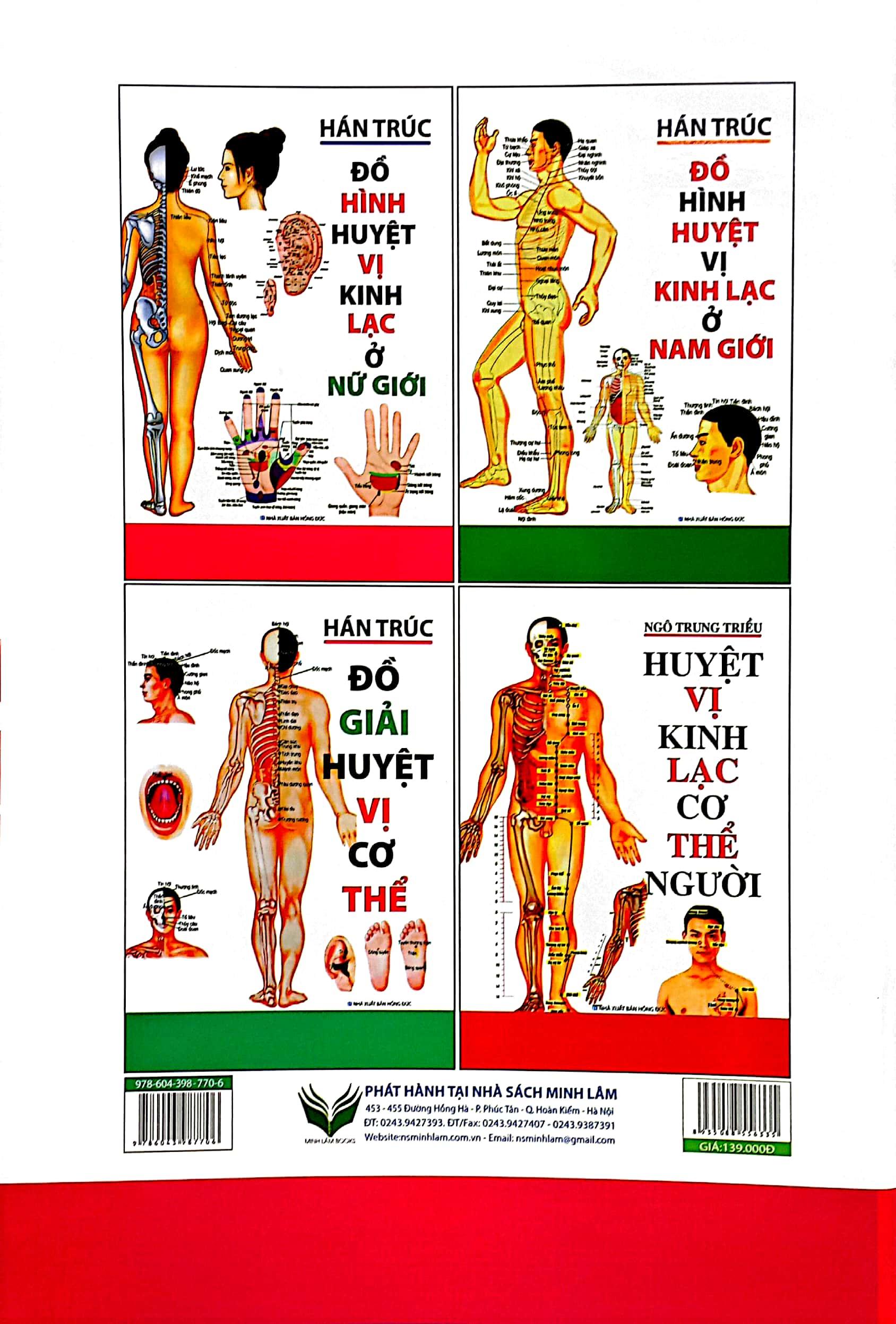 Đồ Hình Huyệt Vị Kinh Lạc Ở Nữ Giới