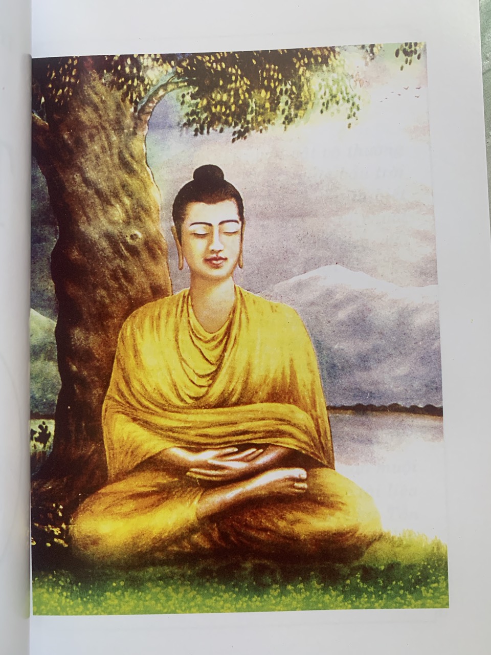 Vô Thường (Thích giác Thiện)