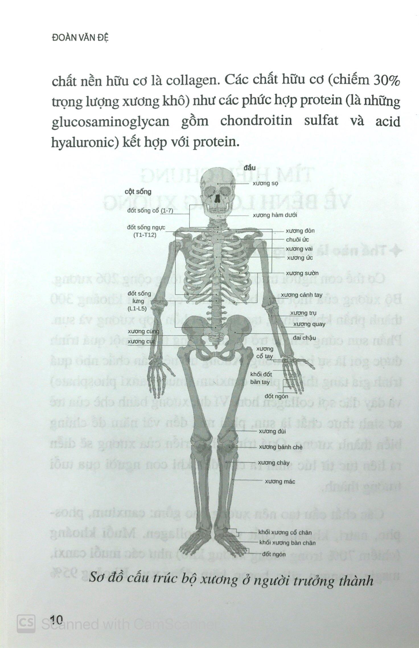 Phòng Và Chữa Bệnh Loãng Xương