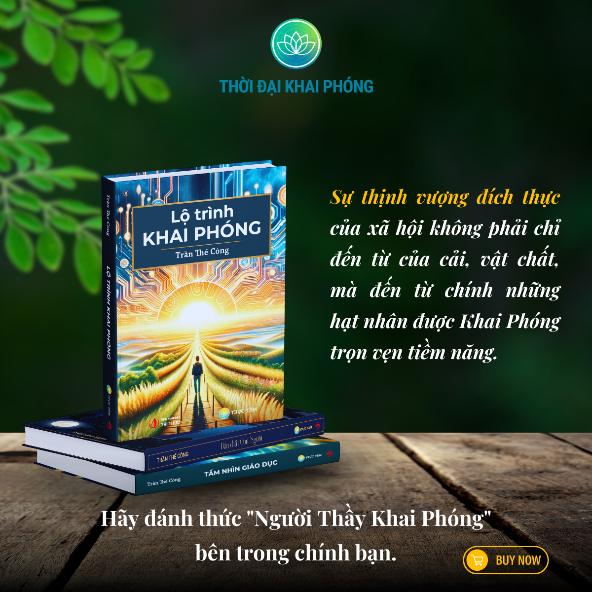 (Combo 2 cuốn sách) TẦM NHÌN GIÁO DỤC + LỘ TRÌNH KHAI PHÓNG (thuộc bộ sách TẦM NHÌN KHAI PHÓNG - 3 cuốn, bìa cứng - Tác giả: Trần Thế Công)