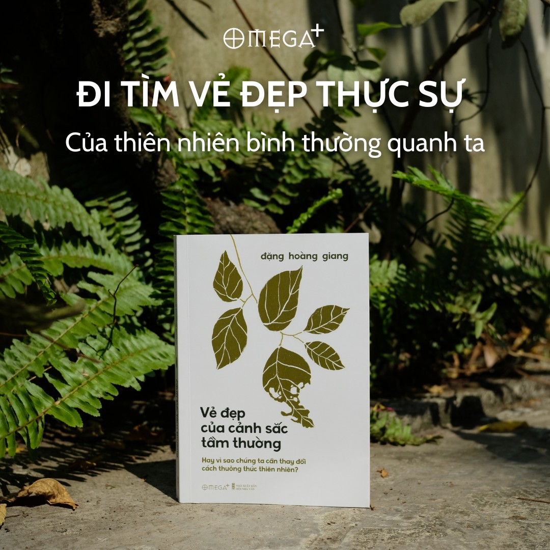Trọn Bộ Sách Của Tác Giả Đặng Hoàng Giang: Bức Xúc Không Làm Ta Vô Can + Thiện, Ác Và Smartphone + Điểm Đến Của Cuộc Đời + Tìm Mình Trong Thế Giới Hậu Tuổi Thơ + Đại Dương Đen + Vẻ Đẹp Của Cảnh Sắc Tầm Thường (Bìa mềm)