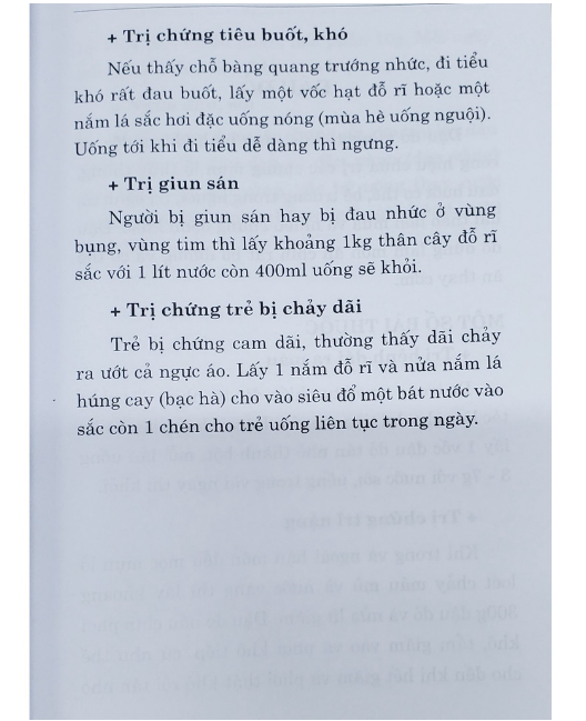 Sách - 500 bài thuốc hay chữa bệnh theo kinh nghiệm dân gian