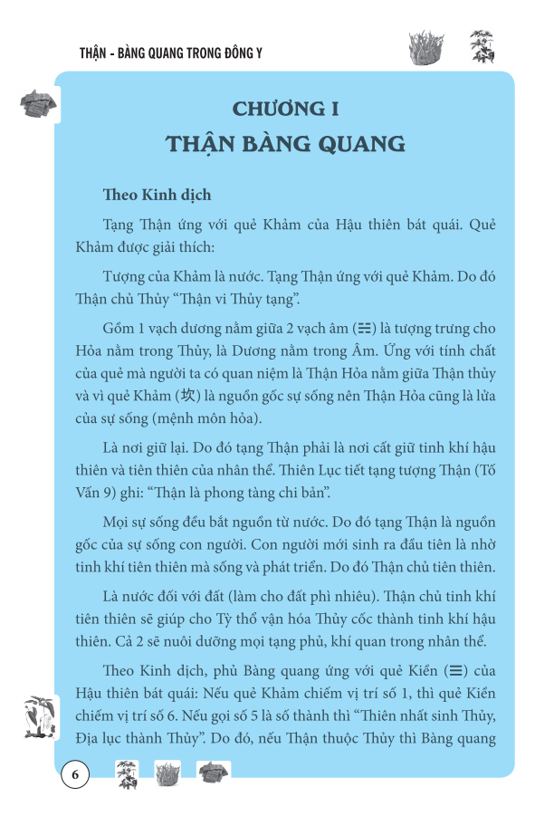 Thận Bàng Quang Trong Đông Y (Bìa mềm)