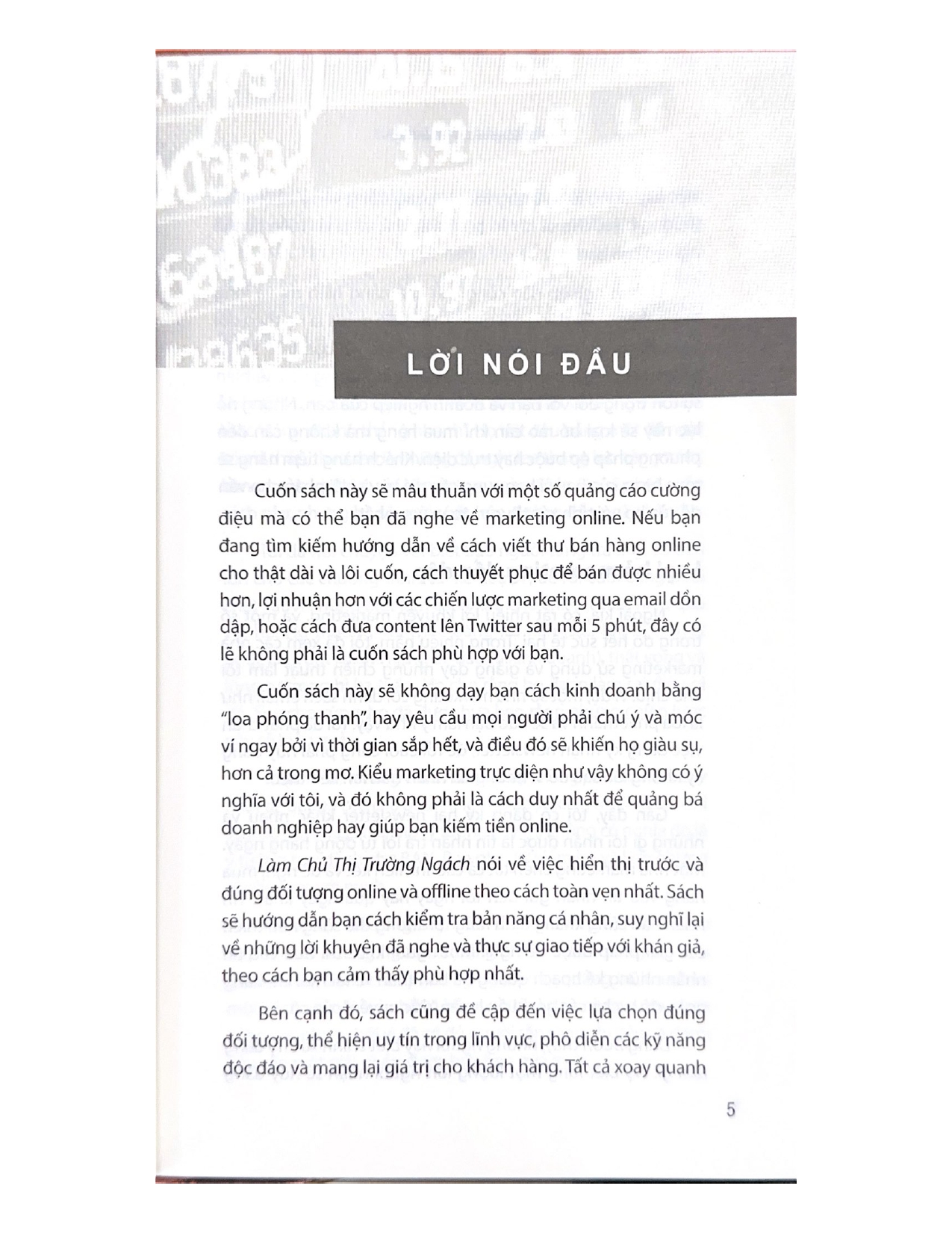 Làm Chủ Thị Trường Ngách - Vanlangbooks