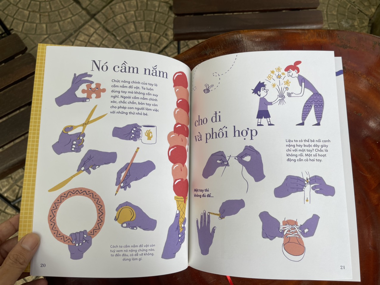 (Bìa cứng in màu - Tủ sách Giải thưởng BRAW “Giải Nobel của sách tranh”) TỎ TƯỜNG TAY TA – Bách khoa toàn thư về đôi tay - Vítězslav Mecner - Magda Garguláková - Thư Vũ dịch - San Hô Books – NXB Thanh niên