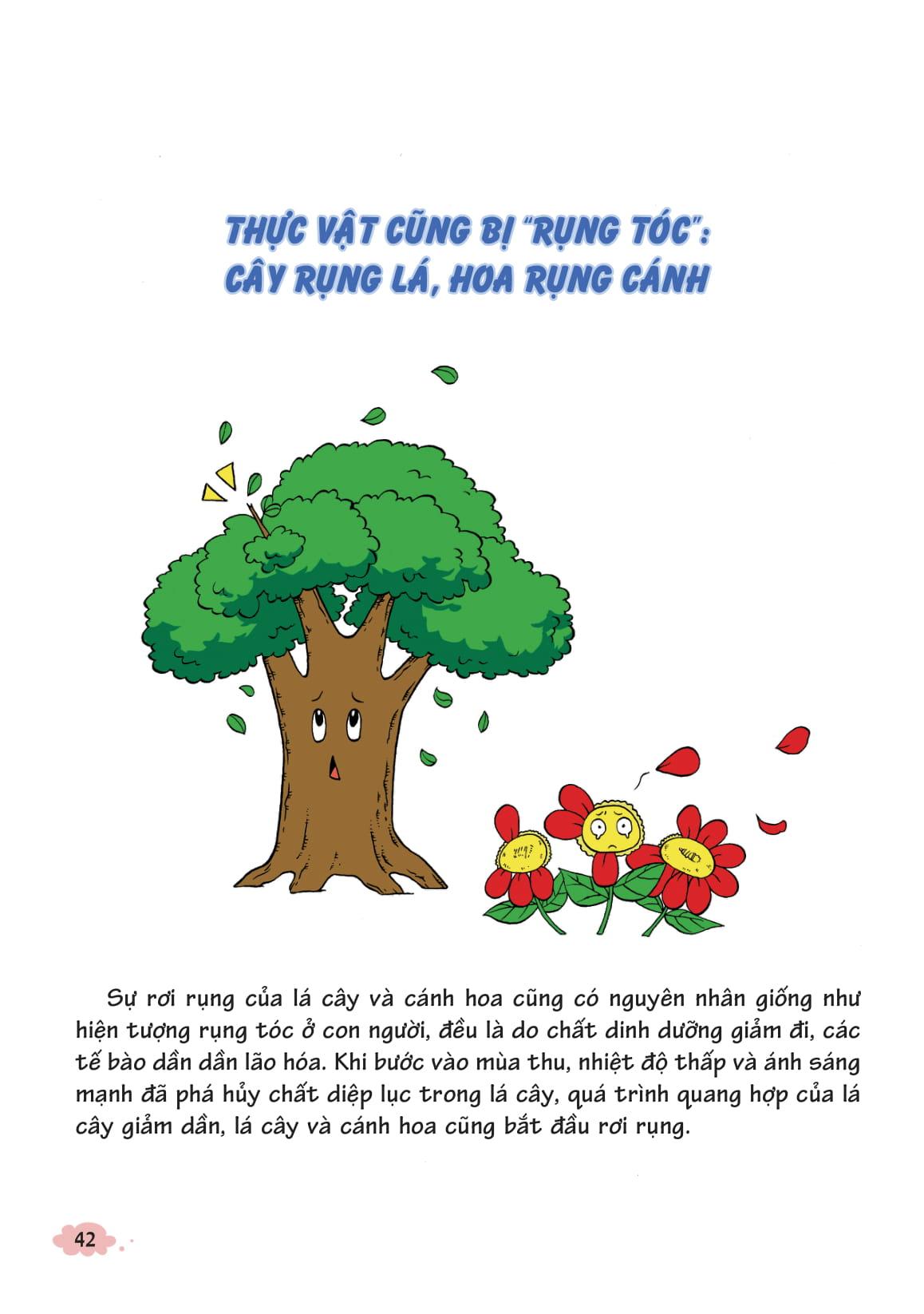 10 Vạn Câu Hỏi Vì Sao - Khám Phá Thế Giới Thực Vật (Tái Bản 2018)
