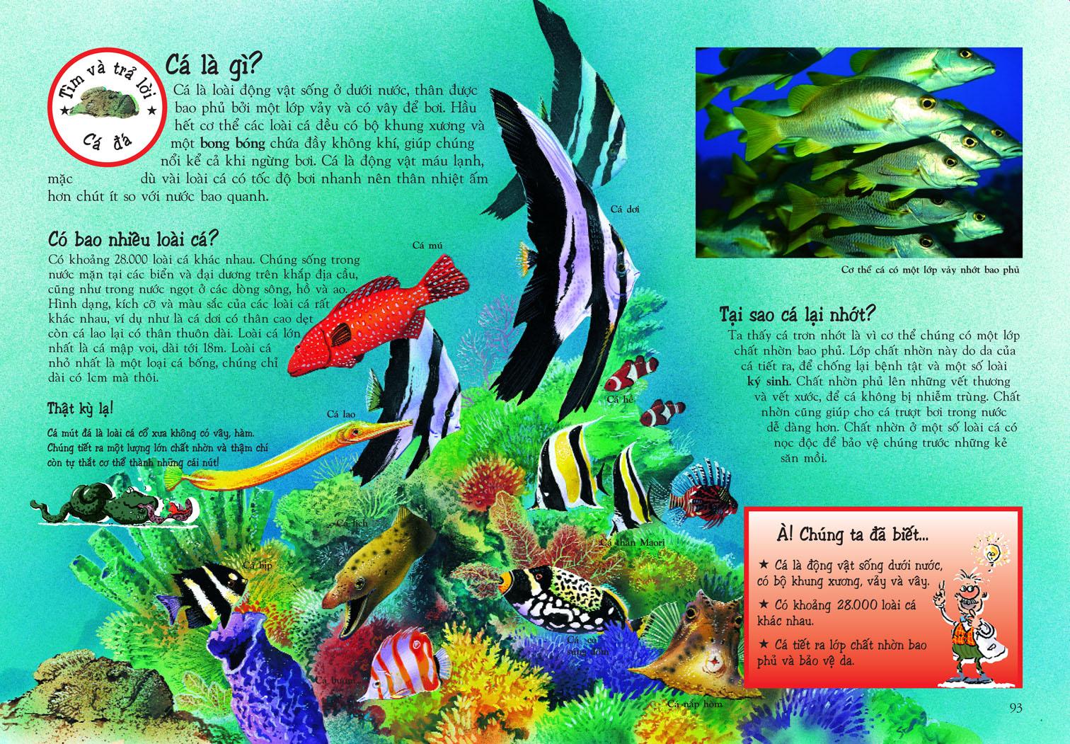 Khám Phá Thế Giới Động Vật (Tái Bản)