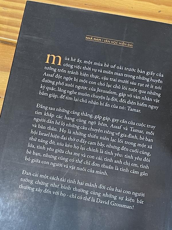 Sách - Ai đó chạy cùng ta (Nhã Nam HCM)