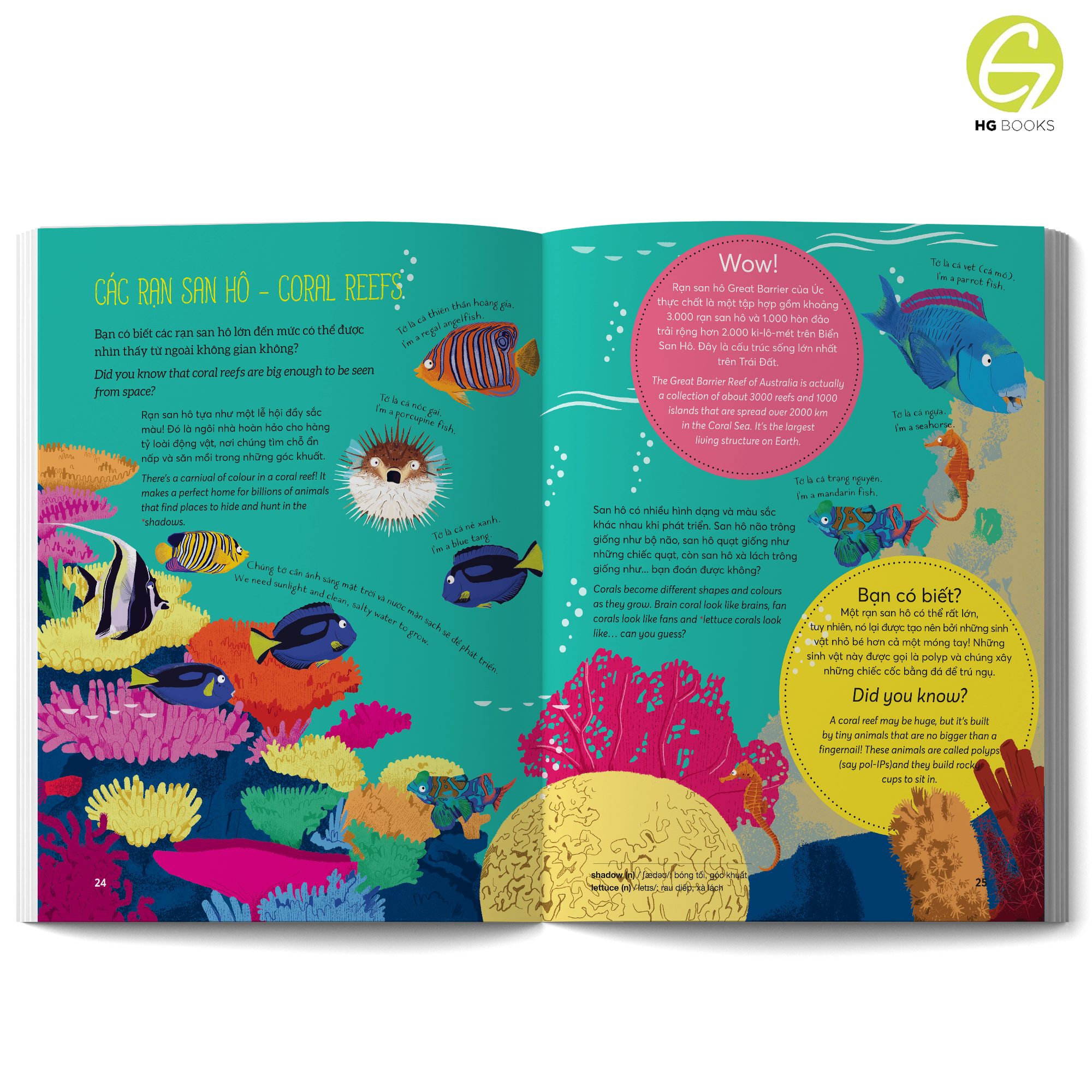 Wow! Oceans: Những sự thật đáng kinh ngạc về đại dương - Sách Bách khoa toàn thư Song ngữ cho trẻ em