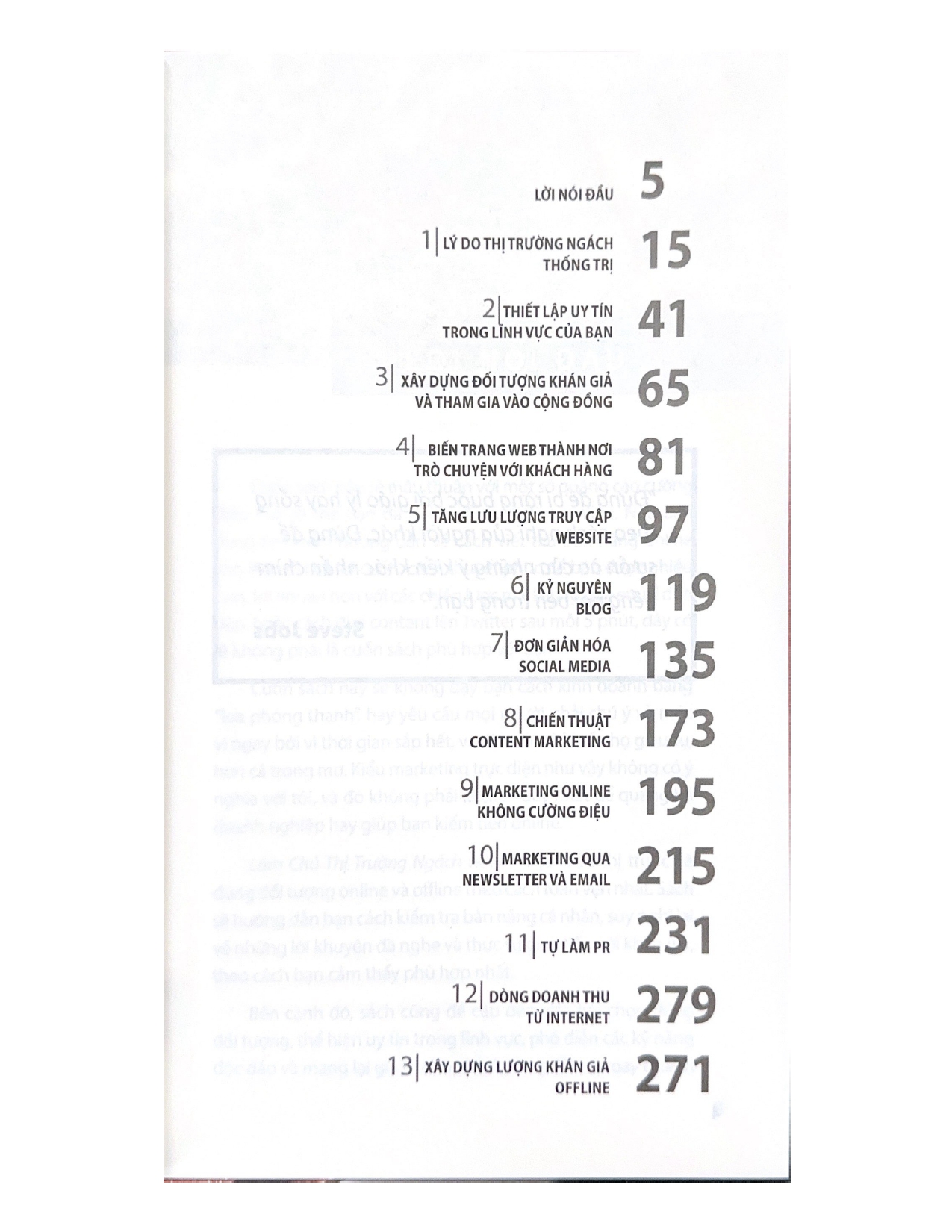 Làm Chủ Thị Trường Ngách - Vanlangbooks