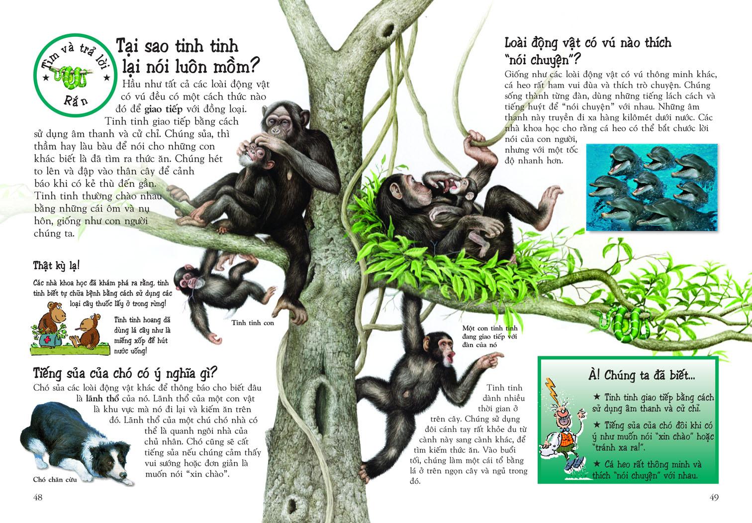 Khám Phá Thế Giới Động Vật (Tái Bản)