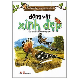 Động Vật Xinh Đẹp