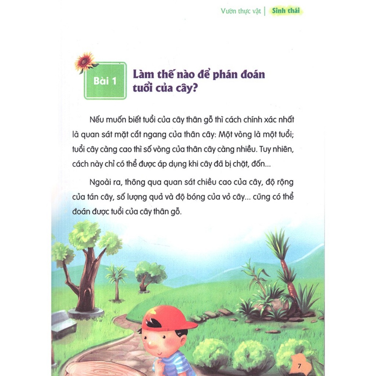 Sách: Thư Viện Tri Thức Dành Cho Học Sinh ( 4 Cuốn)