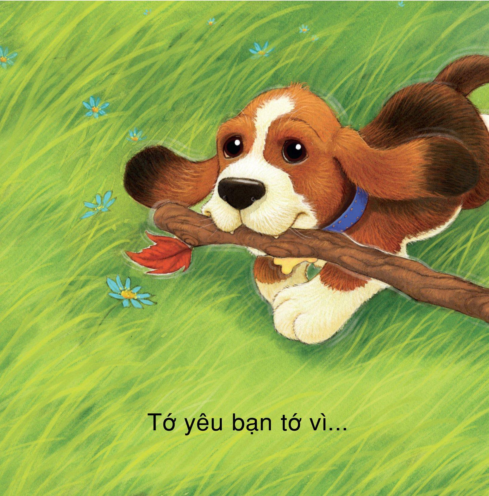 Những Lời Yêu Thương Dành Tặng Bạn Bè - Vì Sao Tớ Yêu Bạn Bè
