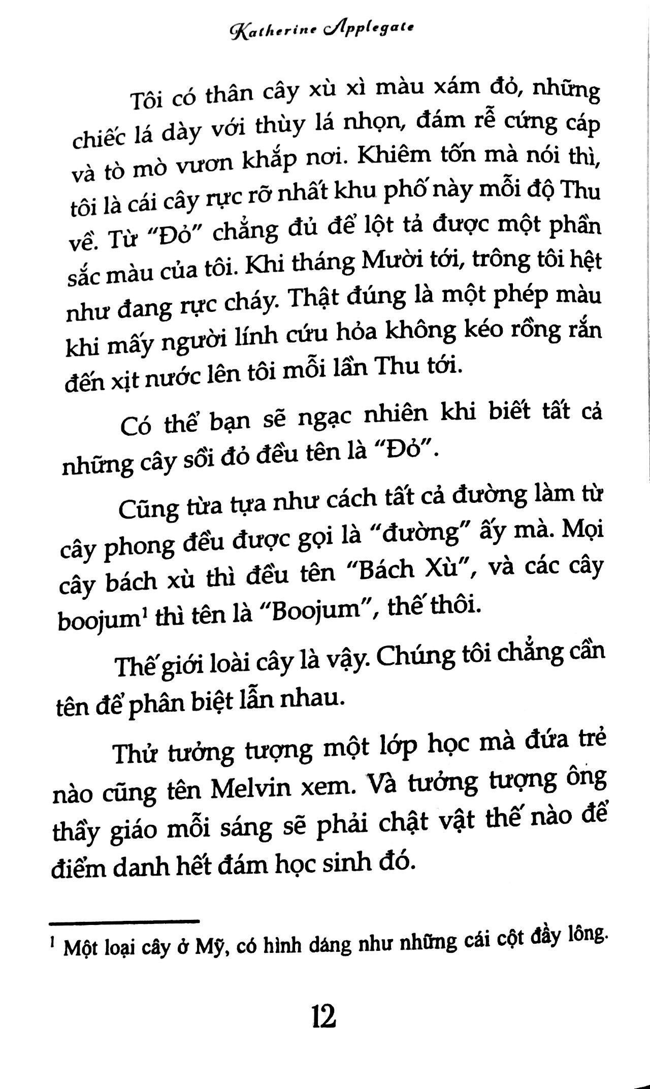 Nguyện Ước Tháng Năm