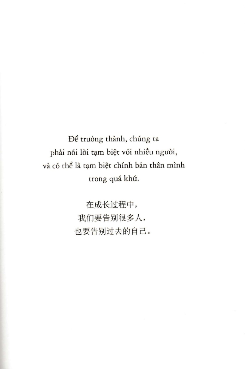 再见了, 多年前的我 - Tạm Biệt Tôi Của Nhiều Năm Về Trước (Song Ngữ Việt - Trung) - SKY