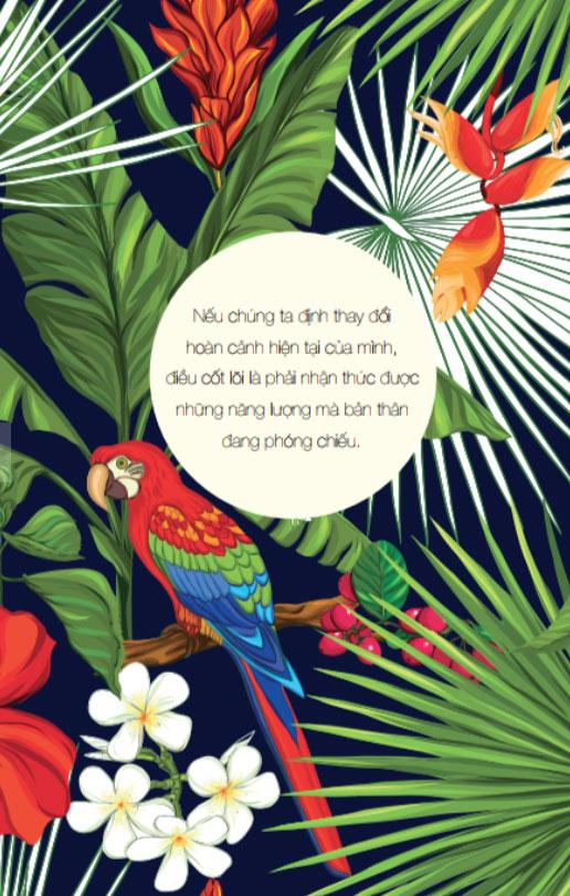 Ho’Oponopono: Sống Như Người Hawaii – Chấp Nhận, Biết Ơn Và Tha Thứ