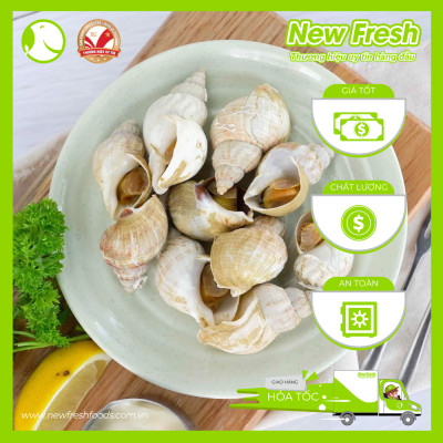 [GIAO NHANH HCM] Ốc Bulot Pháp Đông Lạnh - Túi 500Gr
