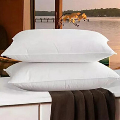 Combo 2 ruột gối Invista Aqua cao cấp size 45x65cm. chất liệu bông gòn an toàn với sức khỏe.