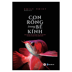 Sách - Con Rồng Trong Bể Kính - Huy Hoàng Bookstore