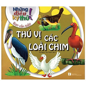 Những Điều Kỳ Thú - Thú Vị Các Loài Chim