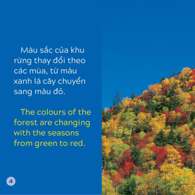 Song Ngữ Việt Anh - Khám Phá Thế Giới - Các Màu Sắc Trên Trái Đất - Colours On Earth