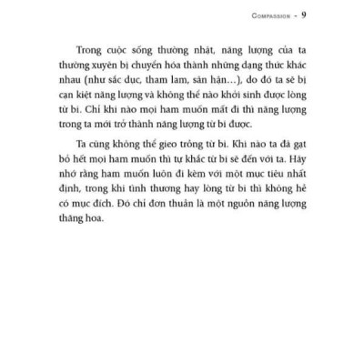 OSHO - Từ Bi - Trên Cả Trắc Ẩn và Yêu Thương - Bìa mềm - First News