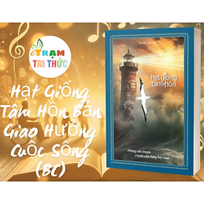 Sách - Hạt Giống Tâm Hồn Bản Giao Hưởng Cuộc Sống ( Bìa Cứng ) - First News