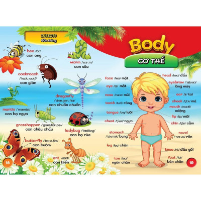 Sách - Từ Điển Bằng Hình Đầu Tiên Của Bé Từ 0-6 Tuổi - Song Ngữ Anh Việt - Việt Thư