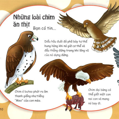 Những Điều Kỳ Thú - Thú Vị Các Loài Chim