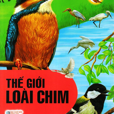 Thế Giới Động Vật Kì Thú - Thế Giới Loài Chim