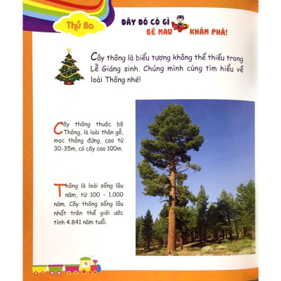 Rèn Luyện Tính Cách Cho Bé 3-6 tuổi - Bé gọn gàng, thông thái, chu đáo, trách nhiệm - Tuần của bé tháng 12 (Combo 4 cuốn)
