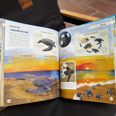 (Bộ 2 cuốn, bìa cứng) AMAZING EARTH - Những Kỳ Quan Phi Thường Nhất Thế Giới & AMAZING ANIMAL JOURNEYS - Những Chuyến Di Cư Và Hành Trình Phi Thường Nhất – Nhiều tác giả – Đinh Tị – NXB Hà Nội