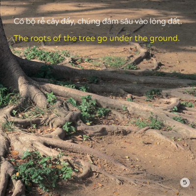 Song Ngữ Việt Anh - Khám Phá Thế Giới - Trong Lòng Đất - Under The Ground