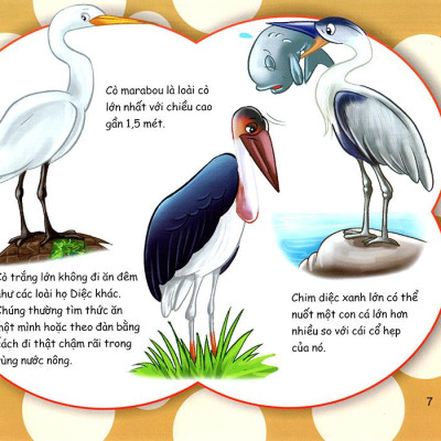 Những Điều Kỳ Thú - Thú Vị Các Loài Chim
