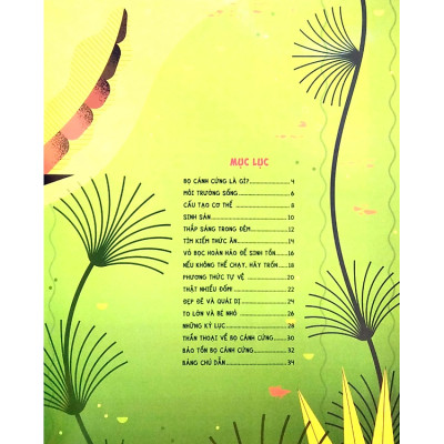 Những Điều Chưa Biết Về…