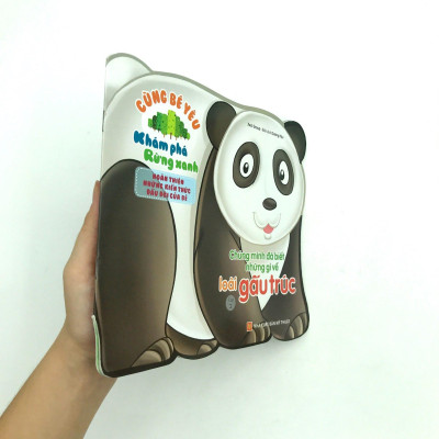 Cùng Bé Yêu Khám Phá Rừng Xanh - Chúng Mình Đã Biết Gì Về Loài Gấu Trúc